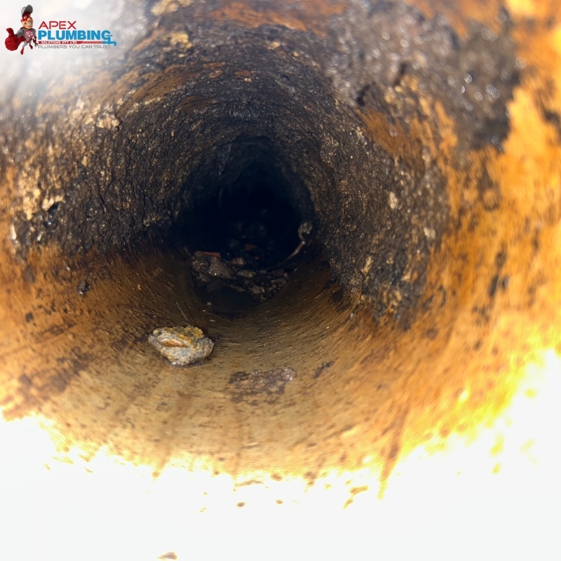 Clogged, dirty drain in need of repair by Apex Plumbing Service's trenchless pipe relining Sydney Wide.