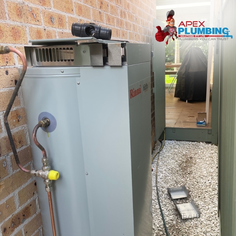 A white Rinnai electric instant hot water system mounted on the exterior wall of a house next to a metal gas meter.