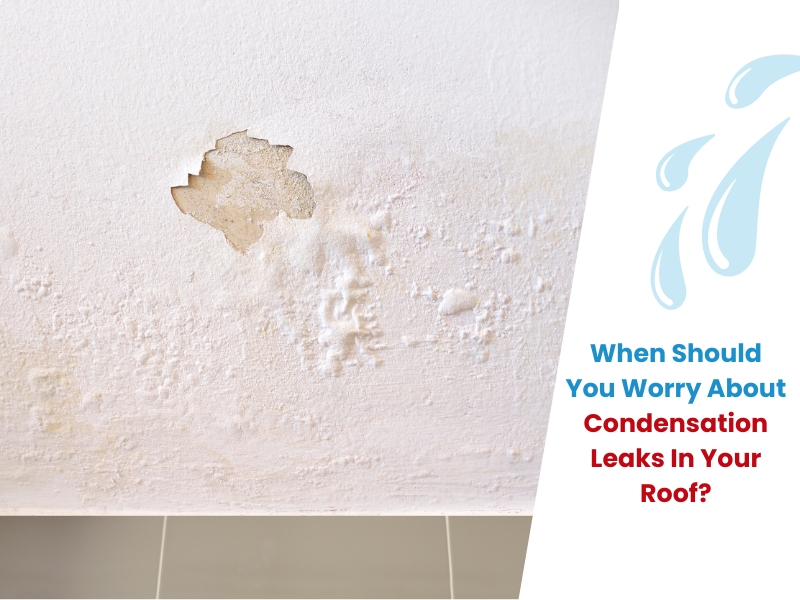 Close-up of ceiling damage caused by roof condensation leaks, showing peeling paint and water stains on plaster.