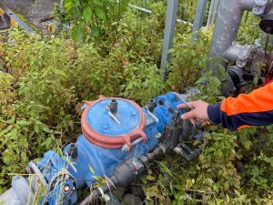 Person inspecting a large backflow protection device in an overgrown outdoor area, ensuring effective water safety measures.