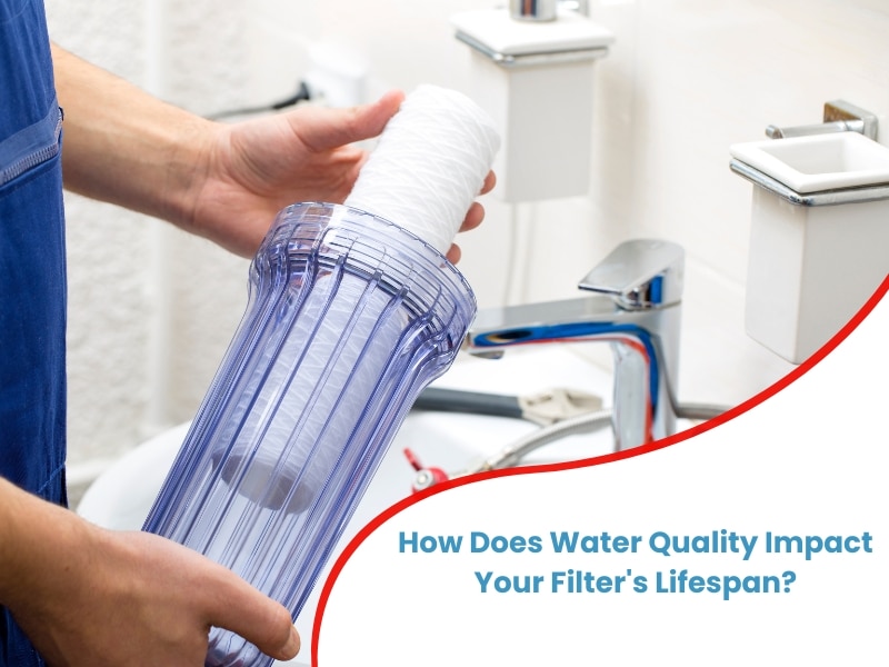 A person holding a clear water filter housing with a new white filter cartridge inside. The text overlay asks "How Does Water Quality Impact Your Filter's Lifespan?" emphasizing the importance of water quality on the water filter lifespan.