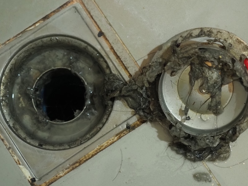 A disgusting clump of hair and gunk pulled from a shower drain, illustrating the cause of frequent drain clogs.
