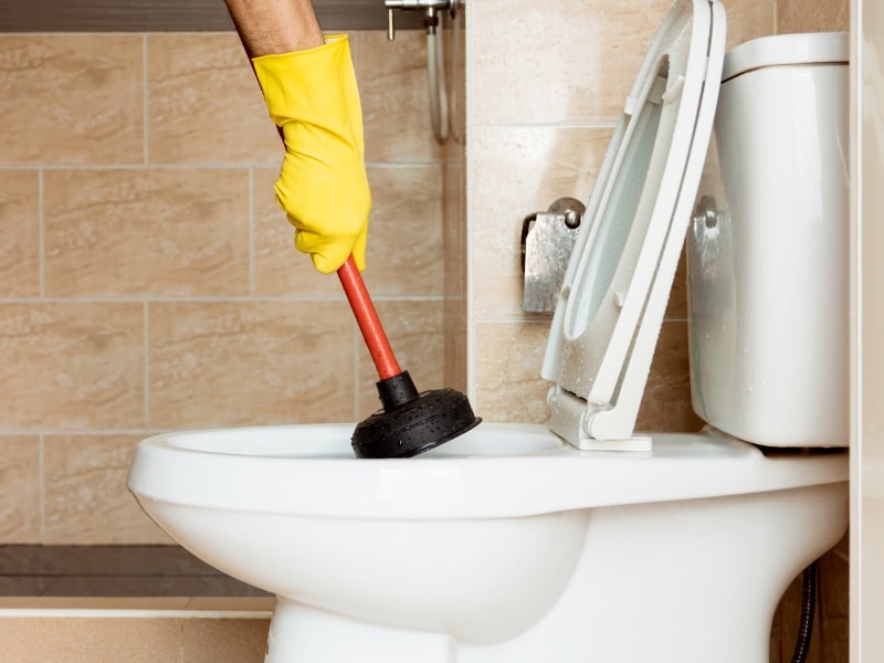Using plunger on toilet bowl to manage toilet flush repair cost caused by clogs.