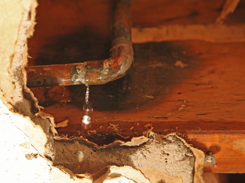Leaking copper pipe through plaster showing early signs you need to fix a burst pipe