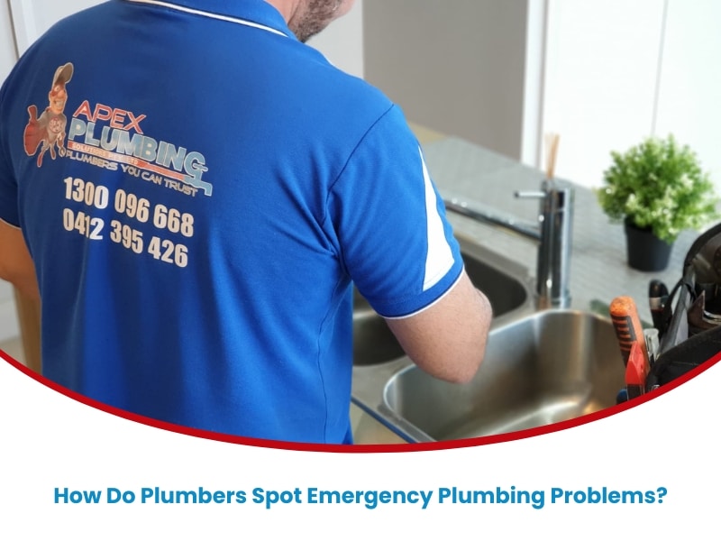 Licensed plumber from Apex Plumbing examining a kitchen sink to identify emergency plumbing problems inside the property.