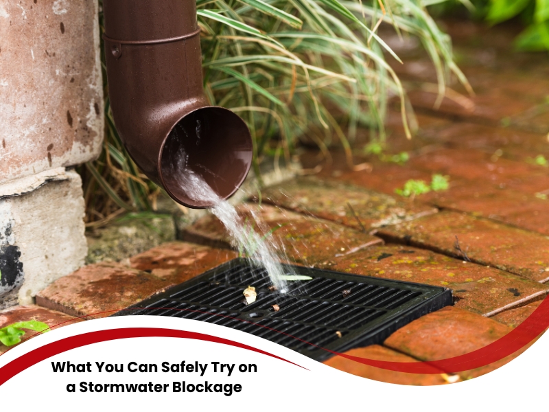 Downpipe draining water onto grate, example of home setup needing regular clearing blocked stormwater drains