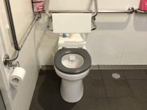 Accessible bathroom toilet with safety rails and grey seat, inspected before attempting to repair flange toilet issue.