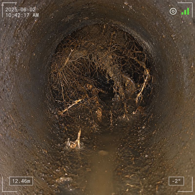 Live CCTV footage showing tree-root blockage inside Sydney residential drain