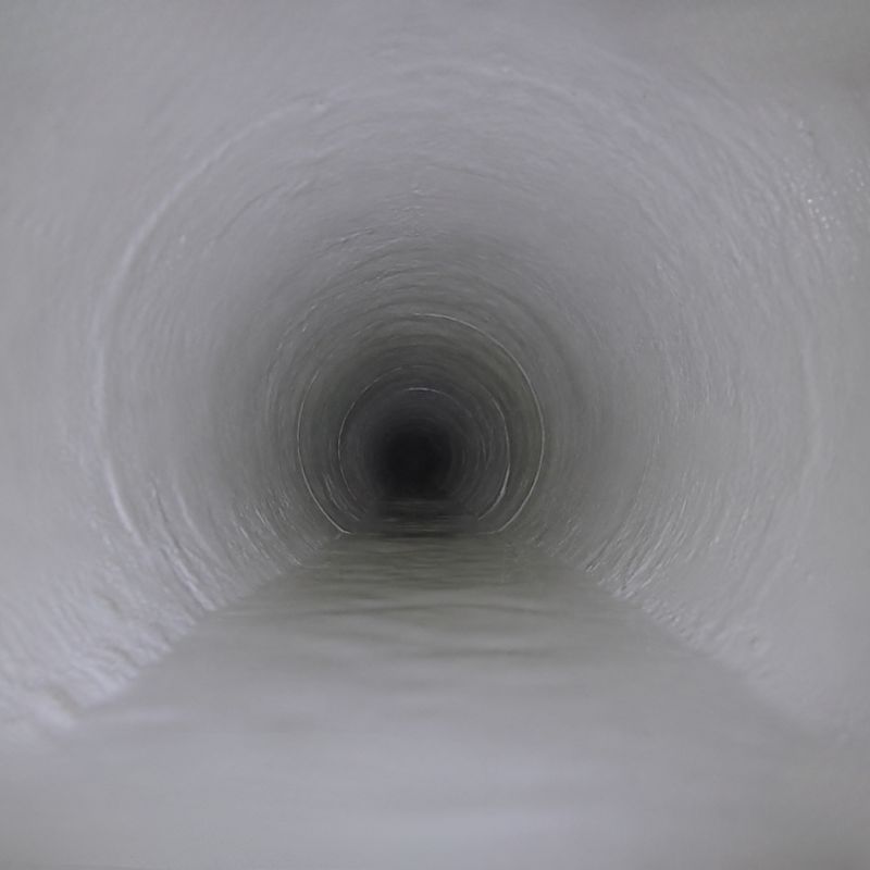 Tree roots entering a damaged sewer pipe through a cracked joint in Sydney